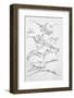 Sketches of Flying Machines-Leonardo da Vinci-Framed Photographic Print