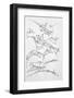 Sketches of Flying Machines-Leonardo da Vinci-Framed Photographic Print