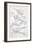 Sketches of Flying Machines-Leonardo da Vinci-Framed Photographic Print