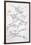 Sketches of Flying Machines-Leonardo da Vinci-Framed Premium Photographic Print