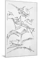 Sketches of Flying Machines-Leonardo da Vinci-Mounted Premium Photographic Print