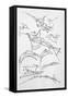 Sketches of Flying Machines-Leonardo da Vinci-Framed Stretched Canvas