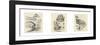 Sketches of Germany-unknown Callion-Framed Art Print