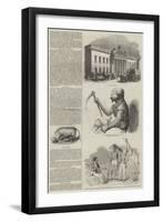 Sketches of India-null-Framed Giclee Print