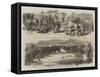 Sketches of Italy-Thomas Nast-Framed Stretched Canvas