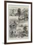 Sketches of Life in Queensland-null-Framed Giclee Print
