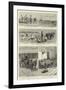 Sketches of Life on an Estancia in the Argentine Republic-null-Framed Giclee Print