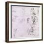 Sketches of Male Nudes, a Madonna and Child and a Decorative Emblem-Michelangelo Buonarroti-Framed Giclee Print