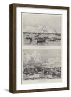 Sketches of Norway-null-Framed Giclee Print