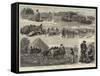 Sketches of Peasant Life in Hungary-null-Framed Stretched Canvas