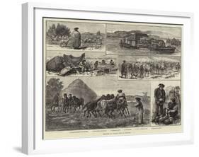 Sketches of Peasant Life in Hungary-null-Framed Giclee Print