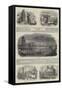 Sketches of Rome-null-Framed Stretched Canvas