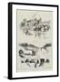 Sketches of Sandringham-Herbert Railton-Framed Giclee Print