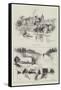 Sketches of Sandringham-Herbert Railton-Framed Stretched Canvas