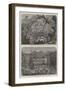 Sketches of Simla-null-Framed Giclee Print