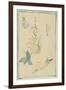 Sketches of Snails, Flowering Plant, C.1880-Edouard Manet-Framed Giclee Print