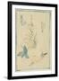 Sketches of Snails, Flowering Plant, C.1880-Edouard Manet-Framed Giclee Print