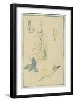 Sketches of Snails, Flowering Plant, C.1880-Edouard Manet-Framed Giclee Print