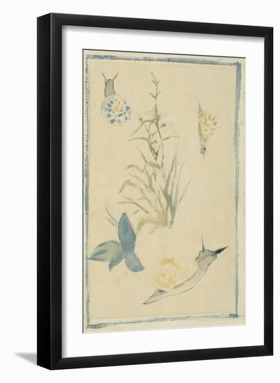 Sketches of Snails, Flowering Plant, C.1880-Edouard Manet-Framed Giclee Print