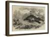 Sketches of South African Travel, the Lion and Dead Elephant-null-Framed Giclee Print