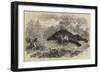 Sketches of South African Travel, the Lion and Dead Elephant-null-Framed Giclee Print