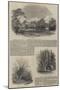Sketches of Strathfieldsay-Samuel Read-Mounted Giclee Print