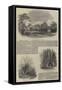 Sketches of Strathfieldsay-Samuel Read-Framed Stretched Canvas