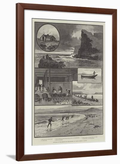 Sketches of the Behring Sea Seal-Fishery, St Paul's, Pribylov Islands-null-Framed Premium Giclee Print