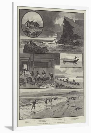 Sketches of the Behring Sea Seal-Fishery, St Paul's, Pribylov Islands-null-Framed Giclee Print