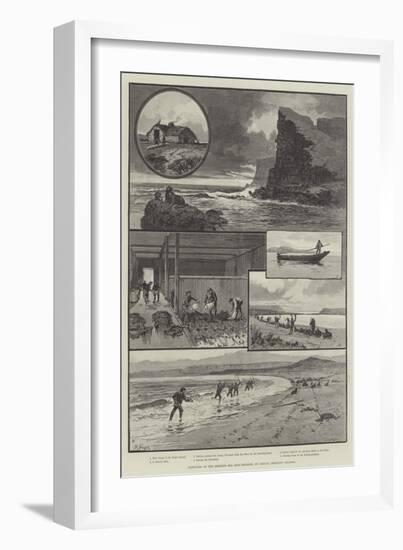 Sketches of the Behring Sea Seal-Fishery, St Paul's, Pribylov Islands-null-Framed Giclee Print