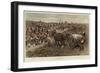 Sketches of the British Army, the Argyll and Sutherland Highlanders on the March on a Field Day-null-Framed Giclee Print