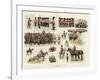 Sketches of the British Army-null-Framed Giclee Print