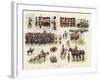 Sketches of the British Army-null-Framed Giclee Print