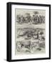 Sketches of the British Occupation of Cyprus-Charles Robinson-Framed Giclee Print