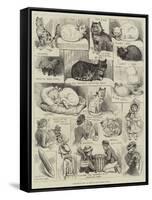 Sketches of the Cat Show at the Crystal Palace-Alfred Courbould-Framed Stretched Canvas