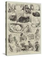 Sketches of the Cat Show at the Crystal Palace-Alfred Courbould-Stretched Canvas