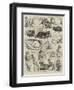 Sketches of the Cat Show at the Crystal Palace-Alfred Courbould-Framed Giclee Print