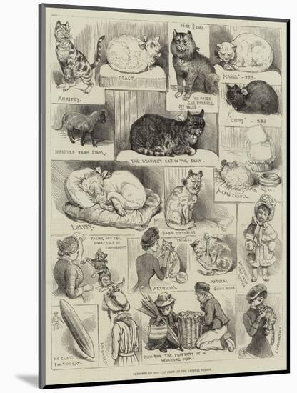 Sketches of the Cat Show at the Crystal Palace-Alfred Courbould-Mounted Giclee Print