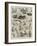 Sketches of the Cat Show at the Crystal Palace-Alfred Courbould-Framed Giclee Print