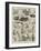 Sketches of the Cat Show at the Crystal Palace-Alfred Courbould-Framed Giclee Print