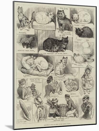 Sketches of the Cat Show at the Crystal Palace-Alfred Courbould-Mounted Giclee Print