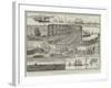 Sketches of the Cruise of HMS Inconstant, with the Flying Squadron-null-Framed Giclee Print