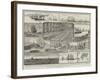 Sketches of the Cruise of HMS Inconstant, with the Flying Squadron-null-Framed Giclee Print