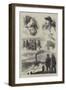 Sketches of the Tay Bridge Disaster-null-Framed Giclee Print