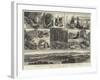 Sketches of Vancouver Island and British Columbia-null-Framed Giclee Print