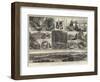 Sketches of Vancouver Island and British Columbia-null-Framed Giclee Print