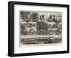 Sketches of Vancouver Island and British Columbia-null-Framed Giclee Print