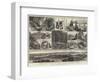 Sketches of Vancouver Island and British Columbia-null-Framed Giclee Print