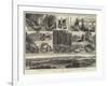 Sketches of Vancouver Island and British Columbia-null-Framed Giclee Print