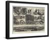Sketches of Vancouver Island and British Columbia-null-Framed Giclee Print